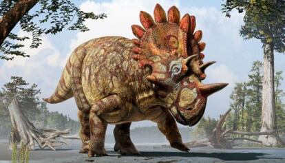 Recreación artística del 'Regaliceratops peterhewsi'.