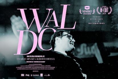 Cartel promocional de Waldo' película documental de Waldo de los Ríos