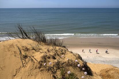 Las dunas y la playa en el acantilado de El Asperillo (Huelva)