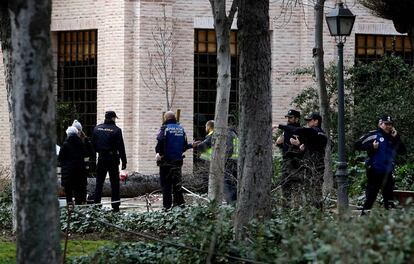 Policías y sanitarios, esta mañana, en la zona del accidente en el parque del Retiro. El árbol puede caído puede verse al fondo.