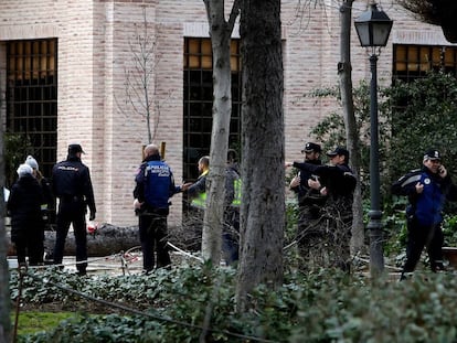 Policías y sanitarios, esta mañana, en la zona del accidente en el parque del Retiro. El árbol puede caído puede verse al fondo.