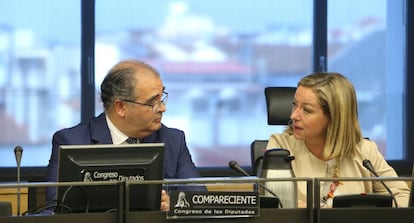 El expresidente del Banco Popular Ángel Ron y la diputada de Coalición Canaria, Ana Oramas, en la Comisión de Investigación del Congreso.