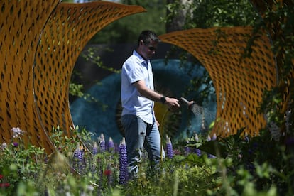 Un trabajador riega un jardín durante los preparativos del Chelsea Flower Show en Londres.