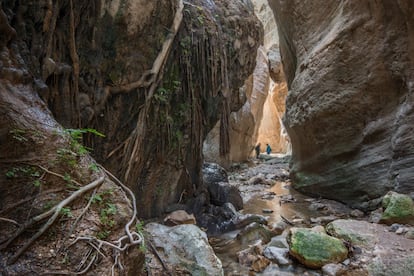 El tramo final de este famoso sendero de Gran Recorrido que atraviesa Europa cruza el lado griego de Chipre e incluye casi todo el sur de la isla. Por el camino visita monasterios bizantinos escondidos en las montañas Troodos; el monte Olimpo chipriota (techo de la isla); las míticas piscinas donde –cuenta la leyenda– se bañó Afrodita, o las gargantas en forma de túnel de la península de Akamas. Completarlo entero está reservado para senderistas en forma, aunque desde los aeropuertos internacionales situados en ambos extremos se organizan excursiones de menos distancia. Desde Lárnaca, al este, atravesando los cipresales del parque nacional Forestal Rizoelia, o desde Pafos, al oeste, por las gargantas de Akamas (en la imagen). Inicio: Lárnaca. Final: Pafos. Distancia: 640 kilómetros.