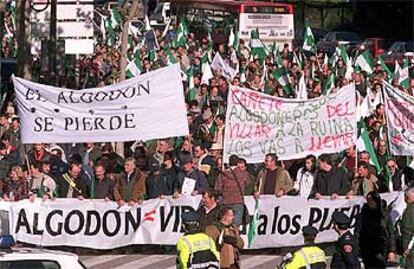 Miles de algodoneros se han manifestado por las calles de Madrid en contra del cambio en el sistema de ayudas de la UE.