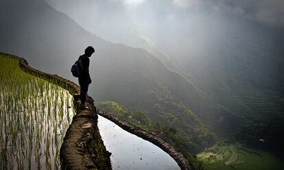 Caminando entre las terrazas de arroz de Batad (Ifugao, Filipinas)