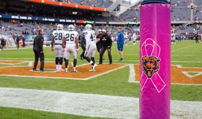 Un lazo rosa, símbolo de la lucha contra el cáncer de mama, en el estadio de los Chicago Bears, con motivo del mes de prevención de este tumor que se conmemora en EE UU.