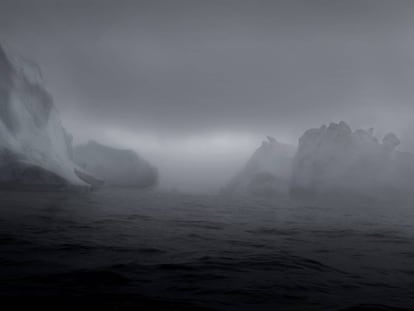 Viagem ao Círculo Ártico: Retrato em cor branca de uma tragédia selvagem
