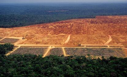 Terreno arrebatado al bosque en la Amazonia brasileña.