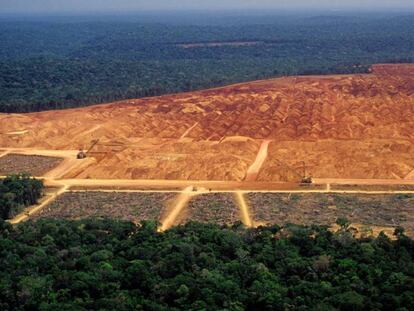 Terreno arrebatado al bosque en la Amazonia brasileña.