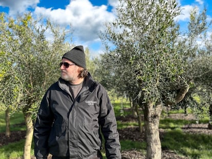 Nik Butcher frente a su olivar en Cornualles.