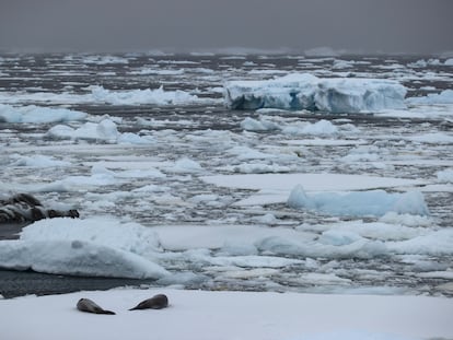 El deshielo de la Antártida (en una imagen del pasado febrero) es uno de los efectos del calentamiento global de los océanos.