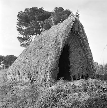 Imagen tomada por Flores en El Palmar (Valencia), en 1967.