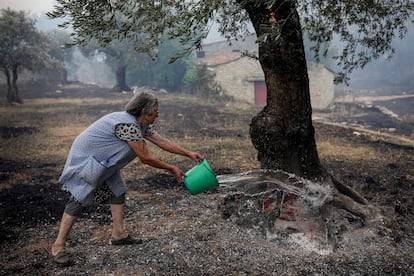 Una mujer apaga los rescoldos del fuego junto a un olivo en Moinhos, en Ourém, este miércoles.