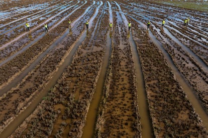 Miembros del V batallón de la Unidad Militar de Emergencias (UME) buscan cadáveres arrastrados por las inundaciones en las afueras de Valencia, el viernes.