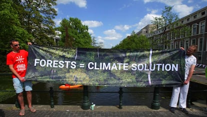 Protesta de Greenpeace en la embajada de Brasil en Holanda por la deforestación. 