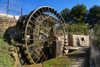 Tres de las cinco norias de agua de la aldea de Abarán (la Grande, la Hoya de Don García y la de Candelón) siguen regando las huertas y acequias a orillas del Segura.