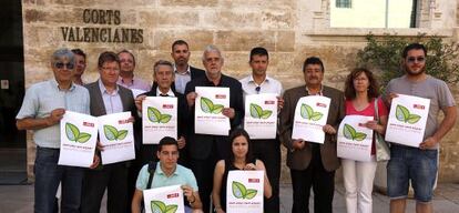 Alcaldes de la Ribera piden agua de calidad ante las Cortes Valencianas.