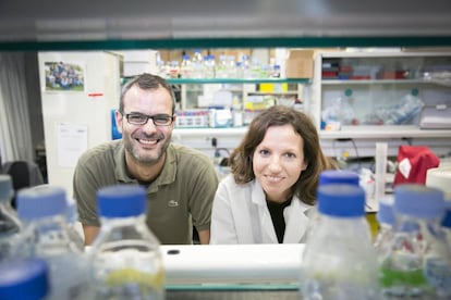 IRB researchers Salvador Aznar and Gloria Pascual.