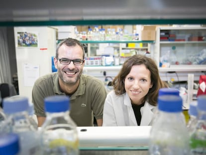 Salvador Aznar e Glória Pascual, pesquisadores do IRB.