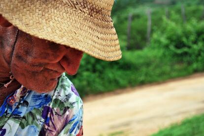 Comemorando a boa safra do inverno de 1963, os agricultores saíram pelas estradas de terra batida do Roçado de Dentro com chapéus, roupas estampadas e plantas como alegoria. Com medo de serem repreendidos pelos moradores da cidade, pintaram o rosto com o que tinham à mão: carvão e goma. “O negócio do carvão era pra isso mesmo: ficar mais feio do que era, perder a vergonha, se esconder”, conta Lázaro Menezes. Na imagem, feita há dez anos, ele remonta a "fantasia" que o grupo de agricultores usou no primeiro desfile. Ao contrário do que esperavam, os músicos da roça foram ovacionados pelos moradores da zona urbana.