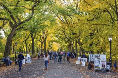 Al sur de la fuente de Bethesda se encuentra The Mall (en la foto), un paseo cubierto por viejos olmos cuyo tramo sur, conocido como Literay Walk (Paseo Literario), está flanqueado por estatuas de escritores famosos. De estilo parisino, es, curiosamente, la única senda recta de todo el parque y rinde honores a artistas como Robert Burns o Shakespeare.