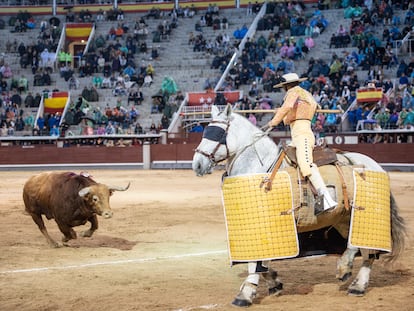 The bull Brigadier, from Pedraza de Yeltes, comes to the horse of the picador Borja Lorente.
