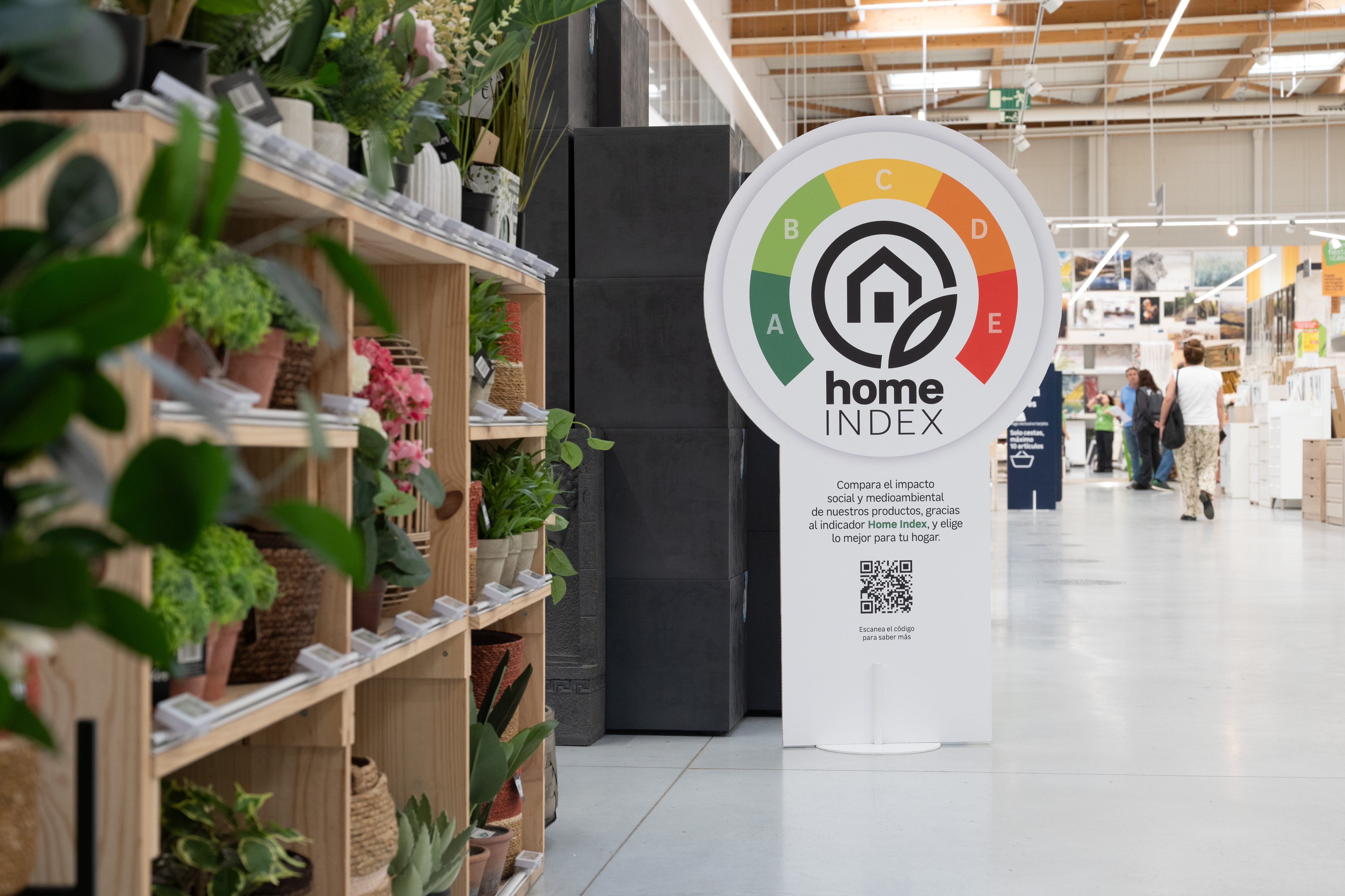 Leroy Merlin очищает планету и учит детей устойчивым практикам