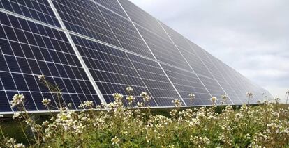 Paneles fotovoltaicos de una instalación de Solaria. 