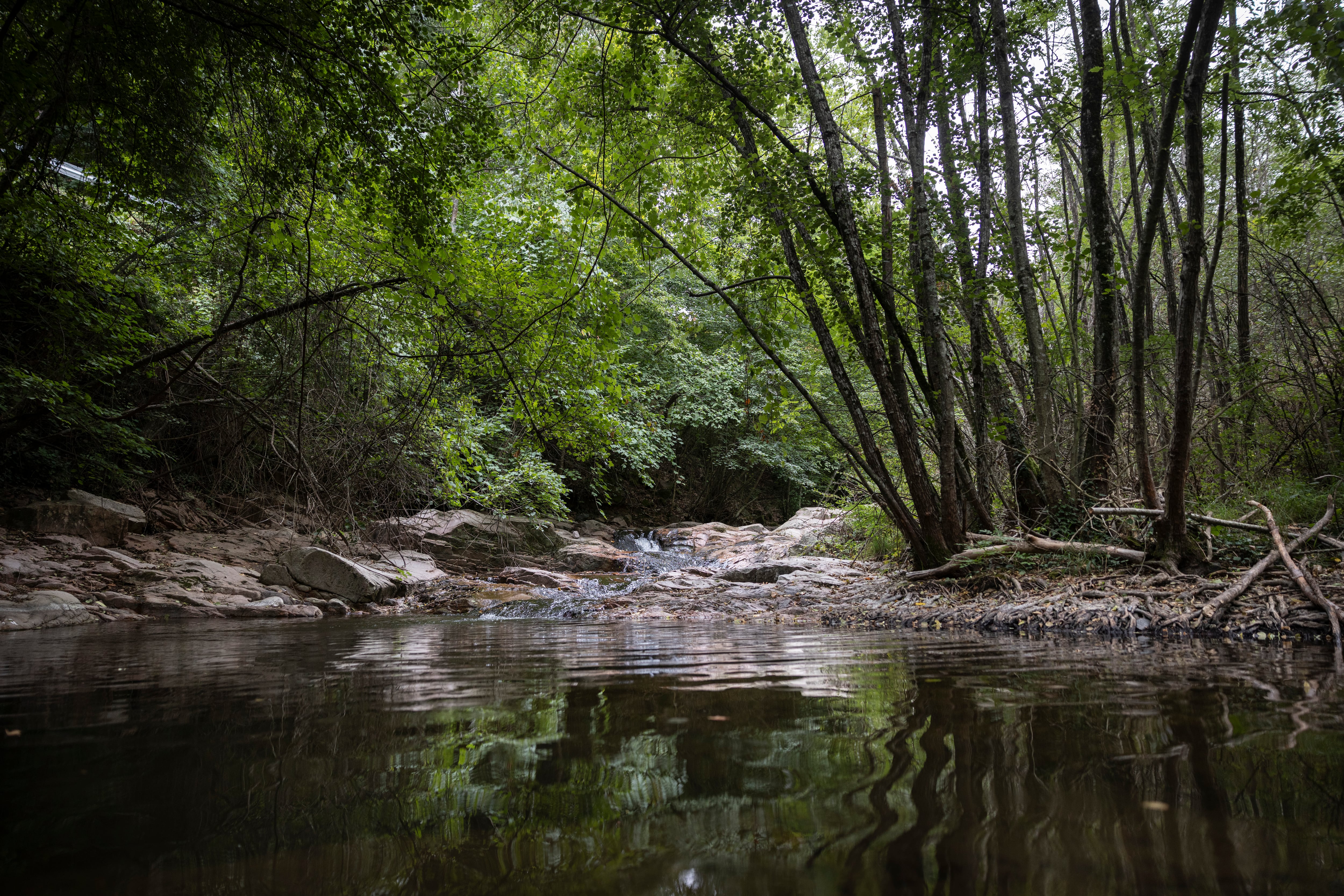 La riera de Viladrau, el miércoles pasado. 