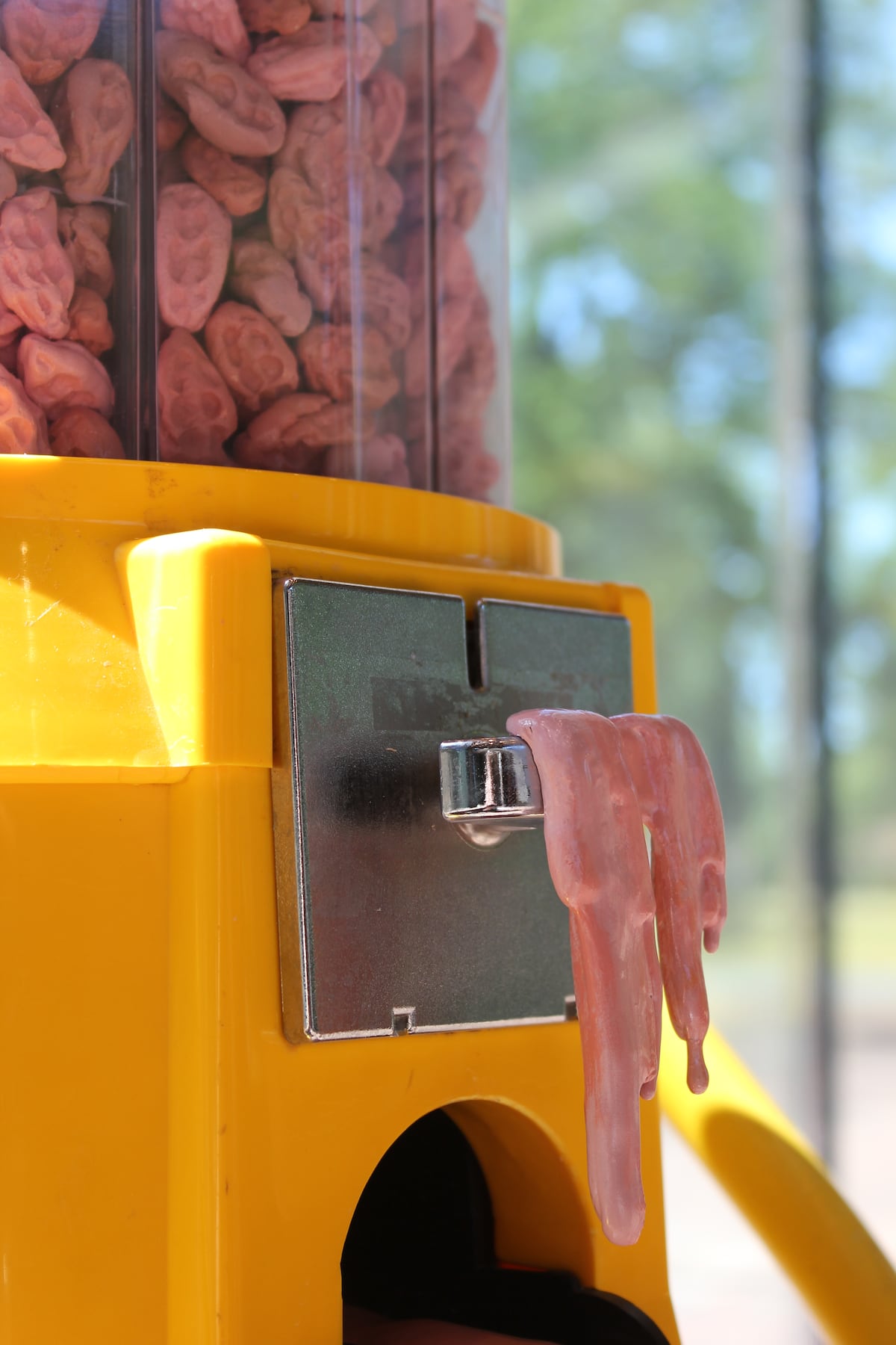 LAM, the museum that displays a portrait made with sausages and a sculpture of moldy grapes