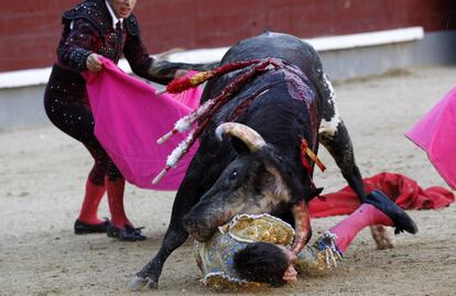 El novillero Garc&iacute;a Navarrete sufre varias cornadas este domingo en Las Ventas. 