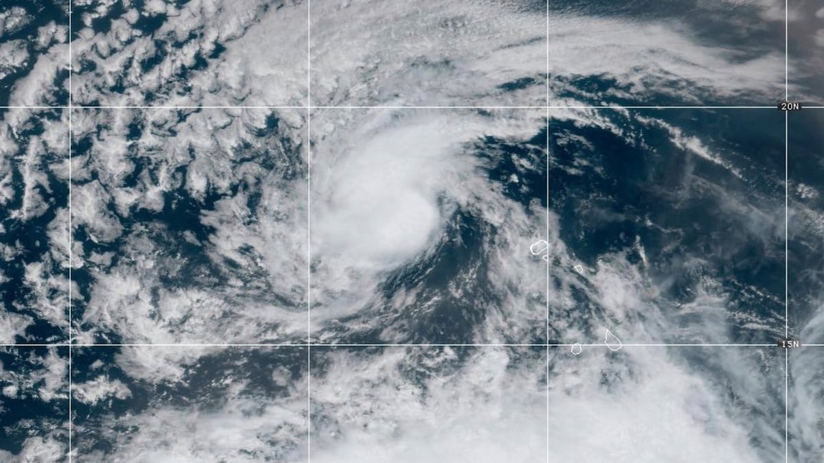 Imagen satelital de la tormenta tropical Erin sobre el Atlántico.