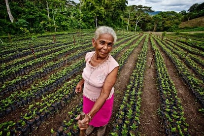 Luz Evelia Godines Solano, campesina de la comunidad de La Chiripa, es productora del café Tierra Madre que se comercializa en España.