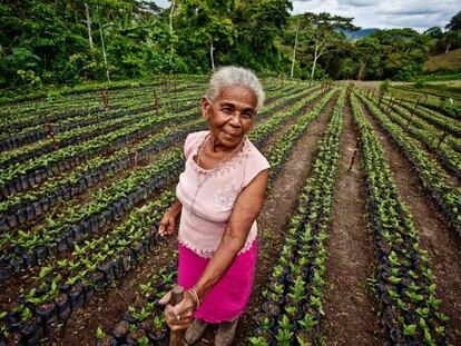 Luz Evelia Godines Solano, campesina de la comunidad de La Chiripa, es productora del café Tierra Madre que se comercializa en España.