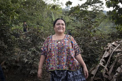 Ana Rosalía Tiul, portavoz de las comunidades campesinas poqomchi, se encuetra en una zona donde unas 1.200 familias de 30 comunidades han sufrido graves daños: “Perdieron sus cosechas, sus animales. No podemos pelear contra la madre naturaleza pero aquí, además, ha habido retención de los ríos por las hidroeléctricas de grandes empresas como Oxec o Renace. Si no hubieran estado, no habrían quedado afectadas tantas familias", asegura a Alianza por la Solidaridad-ActionAid. En tierras poqomchi, con el huracán sólo se salvó una plantación de palma africana. "Eso no nos beneficia en nada; lo que se han dañado son nuestras tierras indígenas", termina.