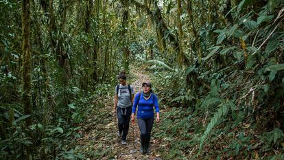 Diana Torres, una guía local, lleva a una turista por uno de los senderos de los alrededores de Yunguilla en septiembre de este año.