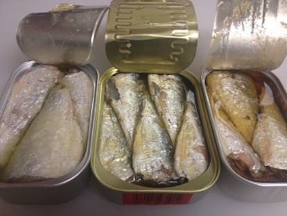 Sardinas en lata ¿caducadas o maduradas?