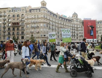 Manifestació al Turó Park de Barcelona per demanar que els gossos puguin entrar al parc.