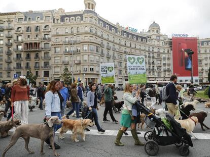Manifestació al Turó Park de Barcelona per demanar que els gossos puguin entrar al parc.