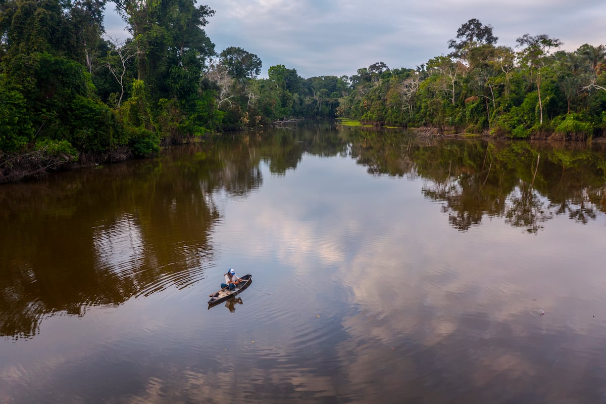 Traces of mercury have reached the most remote areas of the Colombian Amazon