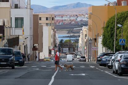 Un hombre pasea a su perro en Fuerteventura el 30 de marzo. EFE / Carlos De Saá