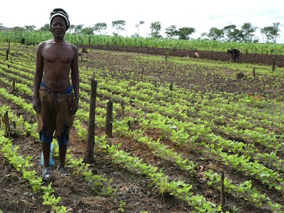 Liaia Daia, agricultor mozambiqueño, posa junto a su campo de soja.