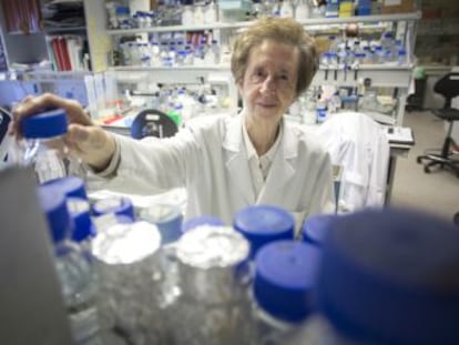 La investigadora inició el desarrollo de la biología molecular y realizó importantes aportaciones sobre cómo funciona el ADN