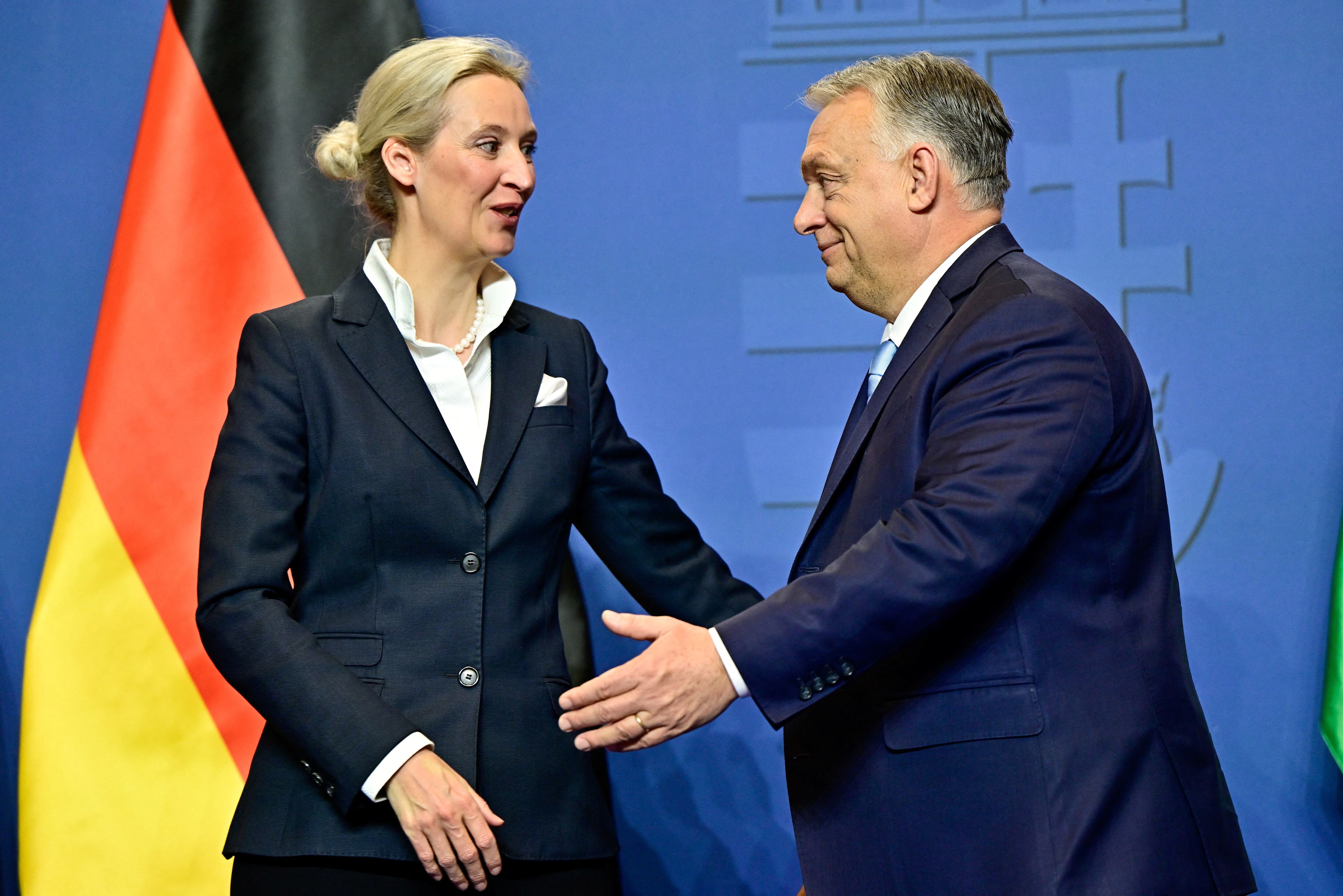 Bruselas teme que la polarización en Alemania condicione los grandes consensos en la UE