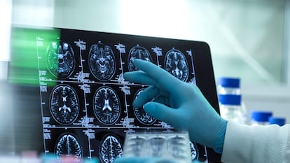 Un diccionario de la imaginación