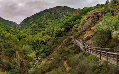 Aldeas de otro tiempo, bosques encantados y grandes caseríos permanecen en el olvido, al son de las aguas del río Sil a su paso por las tranquilas comarcas gallegas. Es lugar para un gran viaje en familia tras los pasos de la cultura romana, por el barranco del río Mao, salvaje y bellísimo afluente que palpita en una pequeña garganta de geologías fabulosas y muy transitable gracias a la gran pasarela de madera construida, precisamente, para internarse en las tripas de este barranco que en ciertos tramos es vertiginoso. Partiendo de la fábrica de la luz se puede recorrer el río Mao hasta su desembocadura en el Sil.