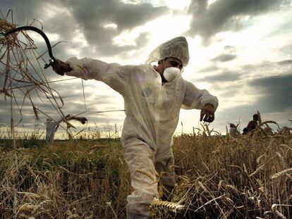 Protesta ecologista contra los cultivos transgénicos, que son defendidos por la patronal y algunas organizaciones agrarias.