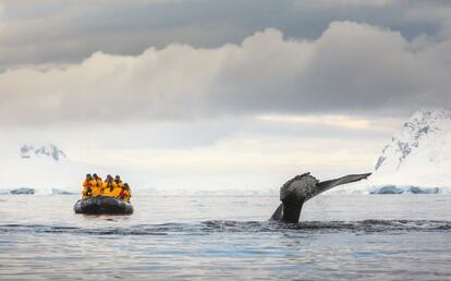 Turistas fotografiando una ballena en la Ant&aacute;rtida. 