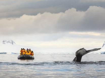 Turistas fotografiando una ballena en la Ant&aacute;rtida. 